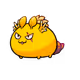 162529