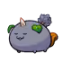 10707294