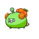 12087808