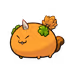 236720