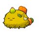 531248