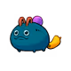 11313095