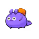 94113