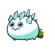 10055495