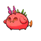11730512