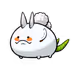 11257962