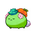 12062453