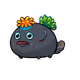 716173
