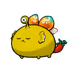 12070657