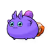 5546297