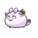 1631806