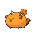 6392455