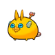11237071