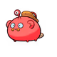 11217120