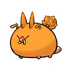 2019074