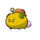 12065893