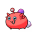 12040051