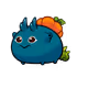 9069834