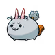 10623036