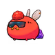 10205505