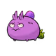 8050258