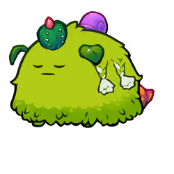 Axie #6258431