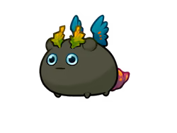 Item Media