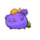 12222204