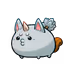 9959203