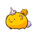 11555882