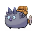 125071