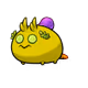 5537181