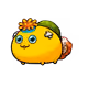 50806