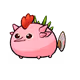 50658