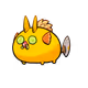 12202237