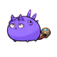 9926919