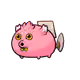 11464170