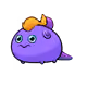 5453845