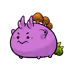 2627250