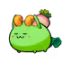 2446187