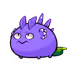 8954040