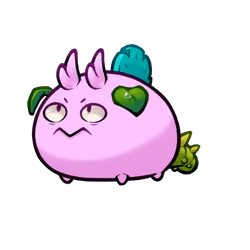Axie #4991113