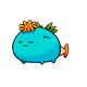 11719607