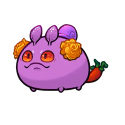 Axie #8567053