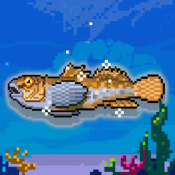 Shiny Goby