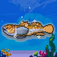 Shiny Goby