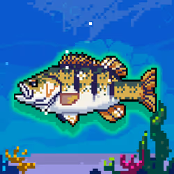 Shiny Smallmouth Bass