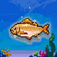 Shiny Carp