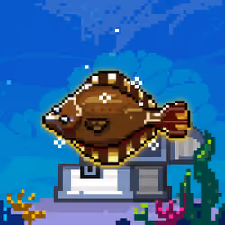 Shiny Starry Flounder