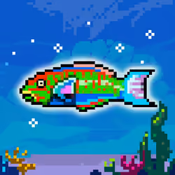 Shiny Wrasse